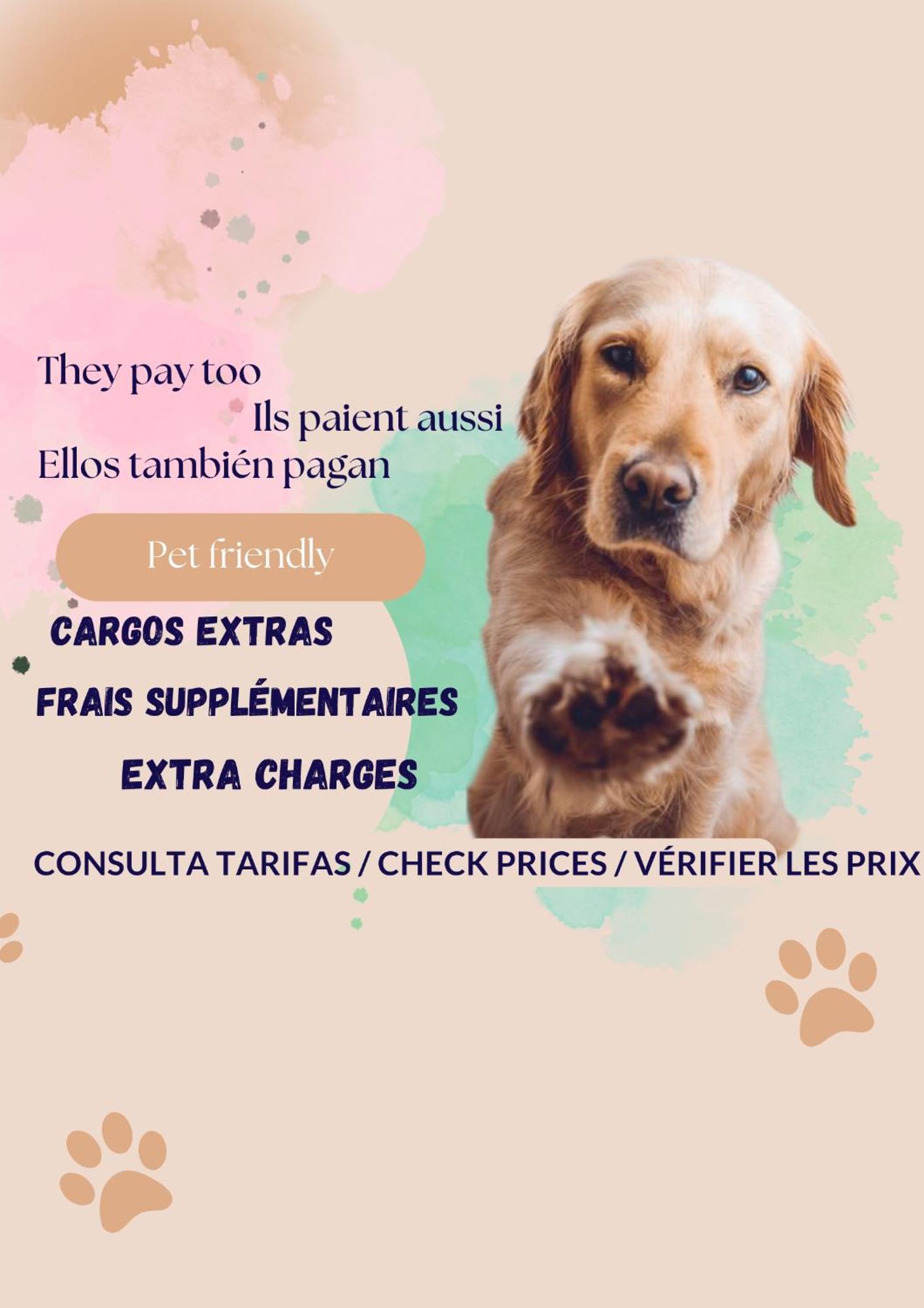 Little love Hospitalet De L'Infant Esterno foto